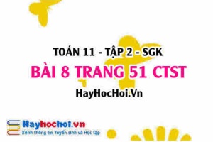 Bài 8 trang 51 Toán 11 tập 2 Chân trời sáng tạo